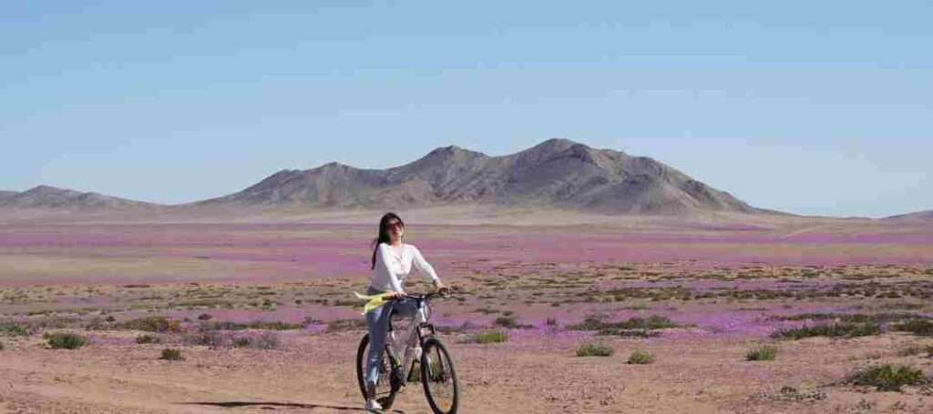 Cicloturismo en senderos por los llanos del desierto florido